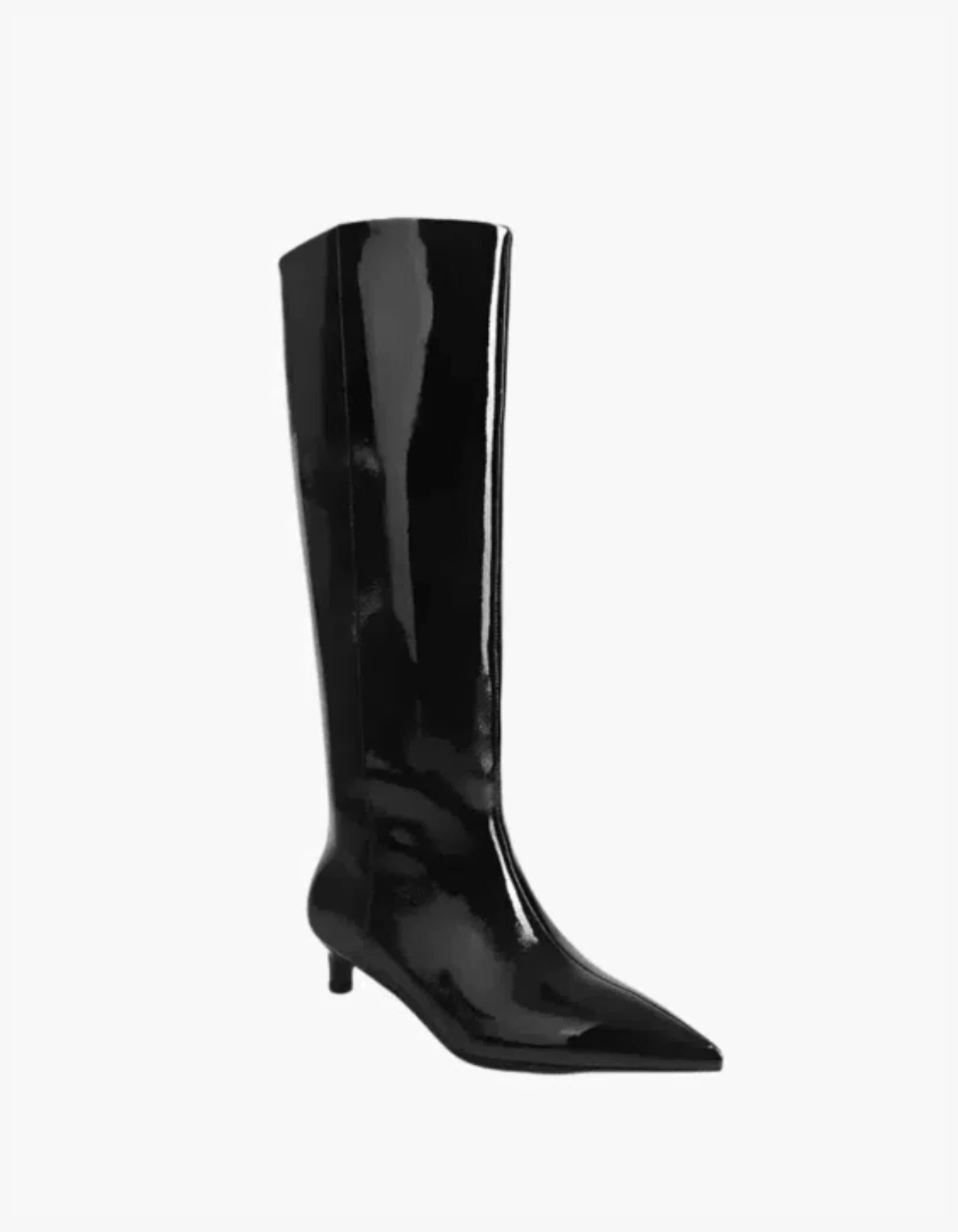 Tiziana – Kitten heel – Knee-high boots